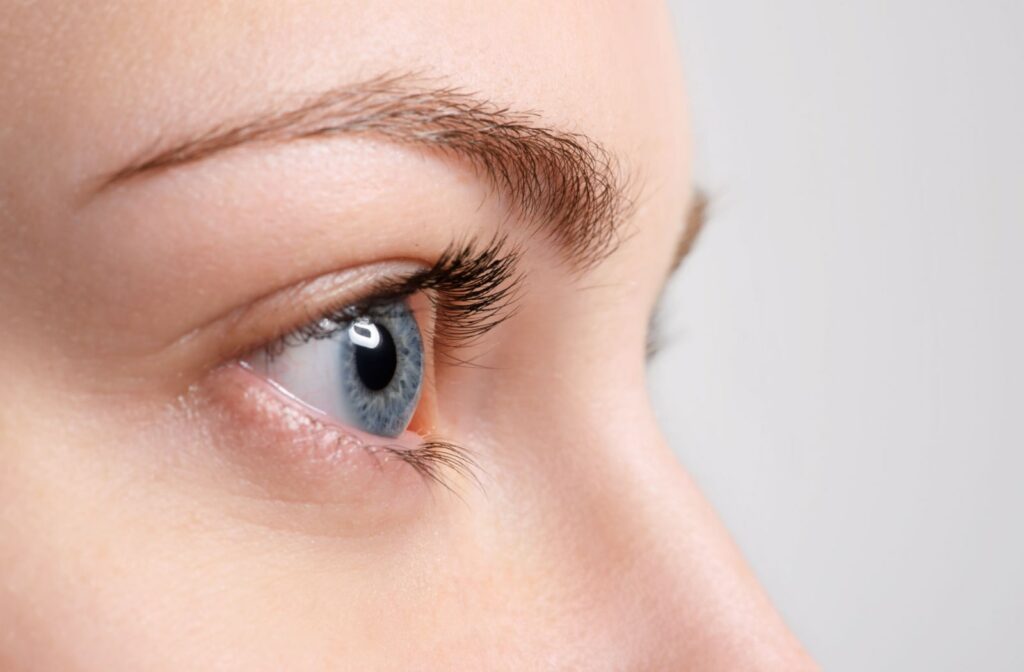A close up view of a woman's blue eyes